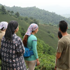 تجربه کوه گردی با پریا