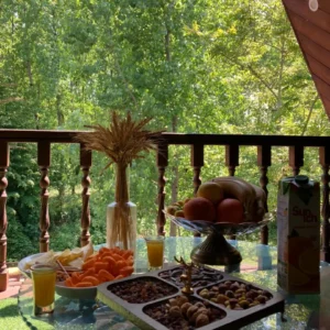 کلبه جنگلی لب رودخونه با آتشدان