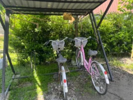 کلبه با دوچرخه برای ساحل‌گردی - کلون ۱
