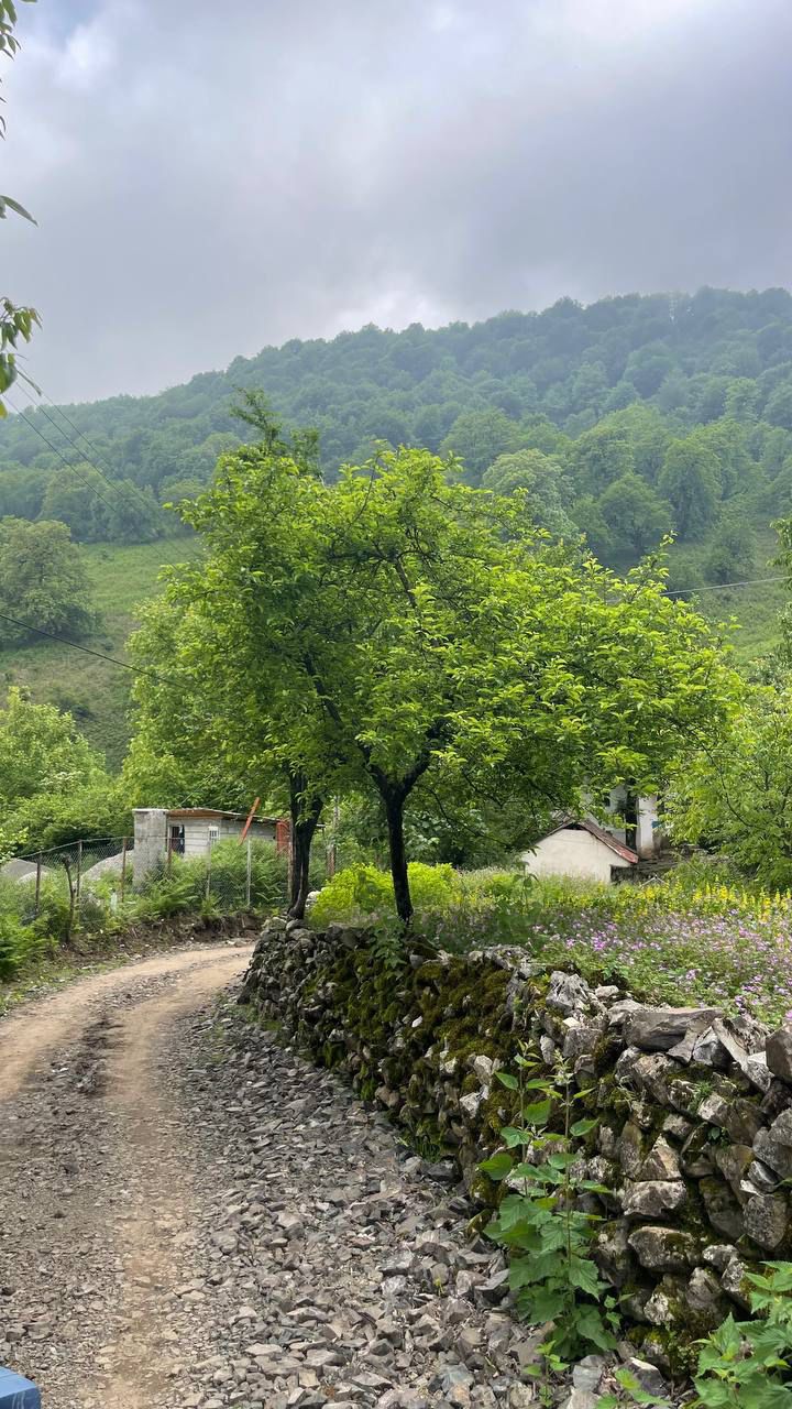 کلبه جنگلی چشمه با جکوزی_طبقه ۲