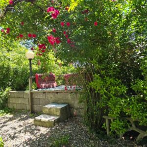 ویلا جنگلی لب رودخونه گتگسر