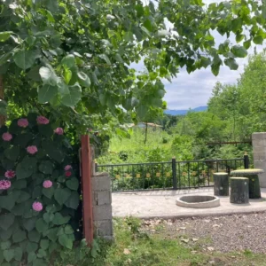 کلبه جنگلی لوکس لب رودخونه