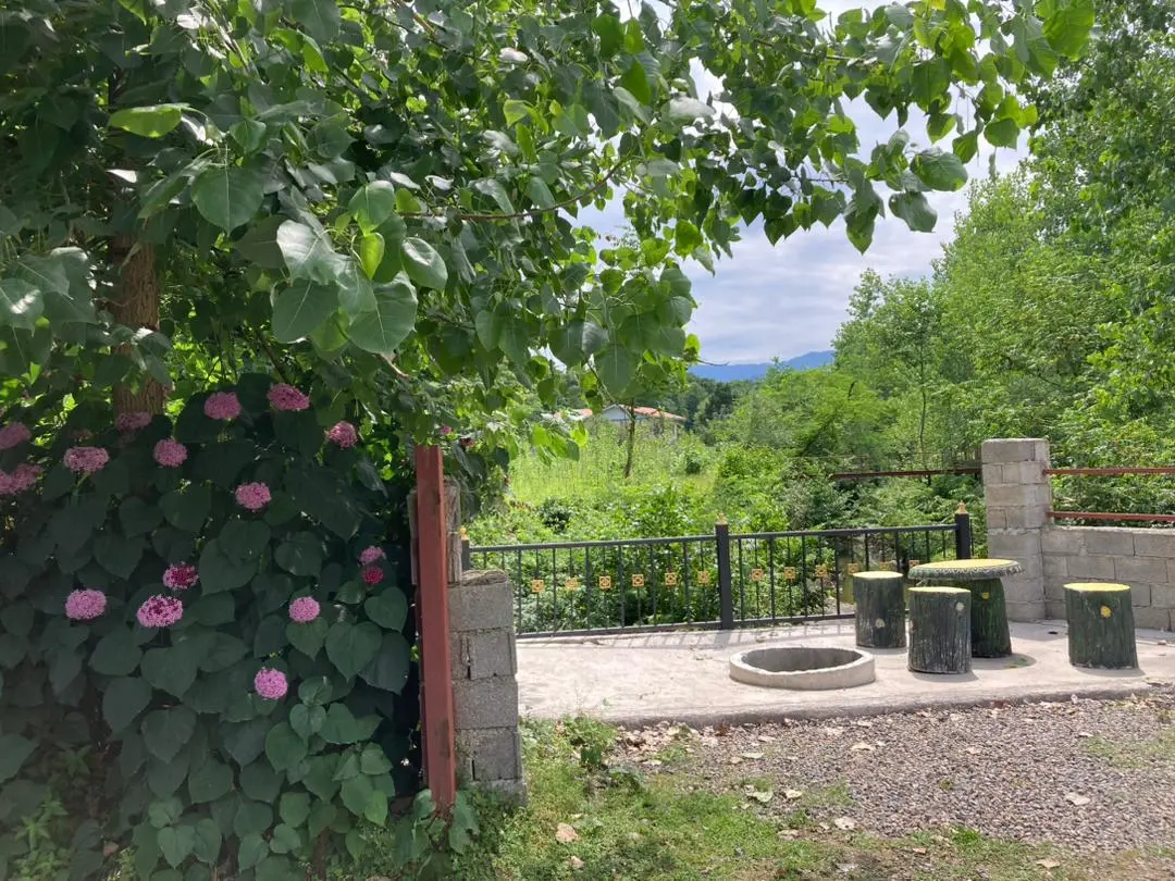 کلبه جنگلی لوکس لب رودخونه