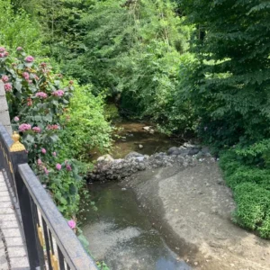 کلبه جنگلی لوکس لب رودخونه