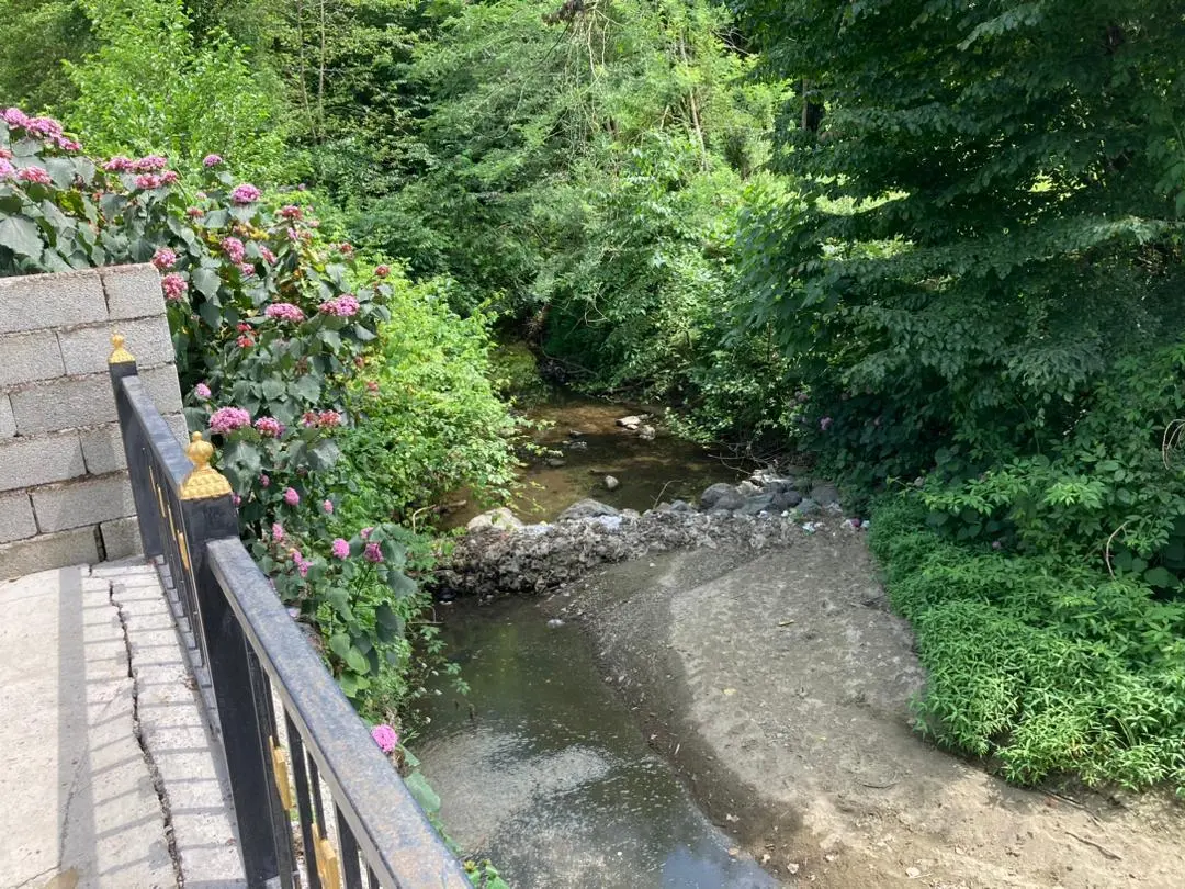 کلبه جنگلی لوکس لب رودخونه