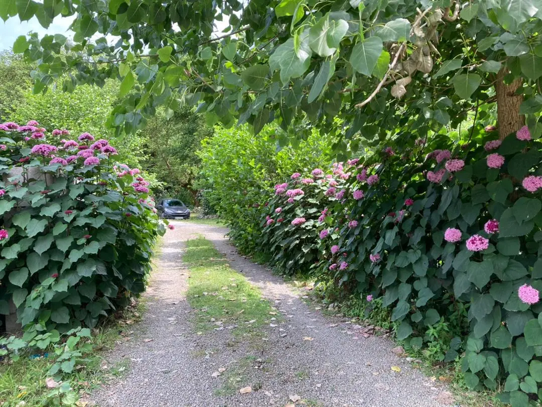 کلبه جنگلی لوکس لب رودخونه