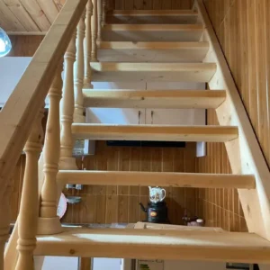 کلبه جنگلی لوکس لب رودخونه