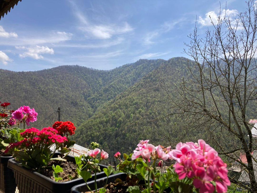 ویلا ییلاقی با منظره کوه و جنگل