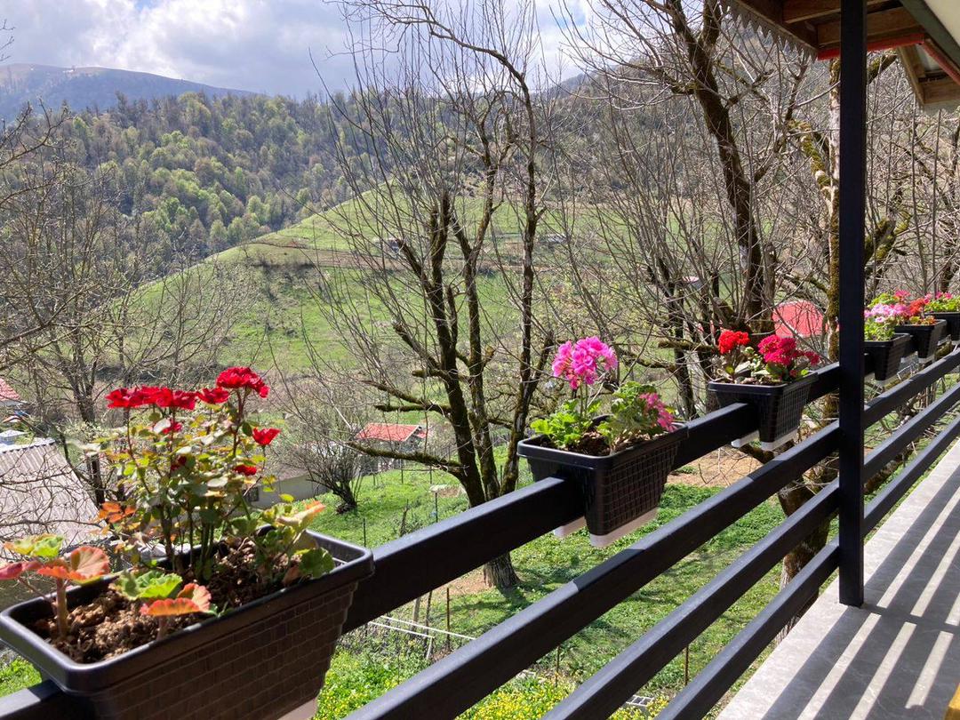 ویلا ییلاقی با منظره کوه و جنگل