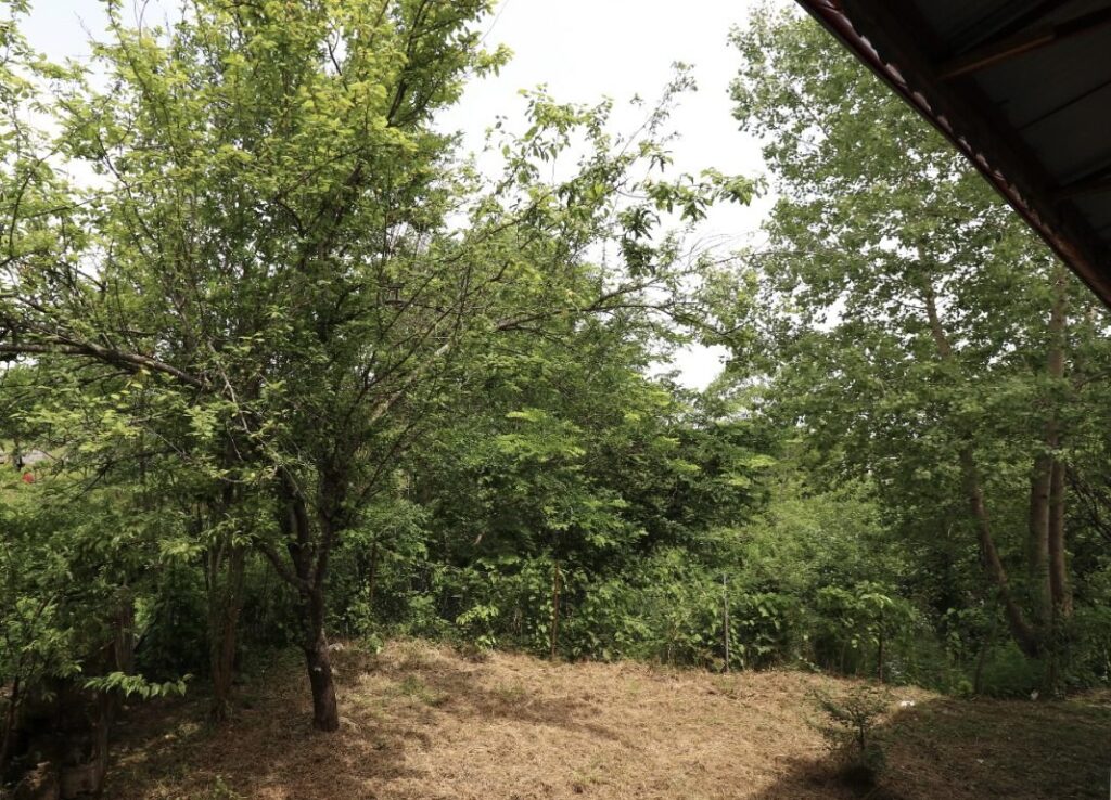 ویلای جنگلی لب رودخونه گیسوم