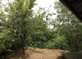 ویلای جنگلی لب رودخونه گیسوم