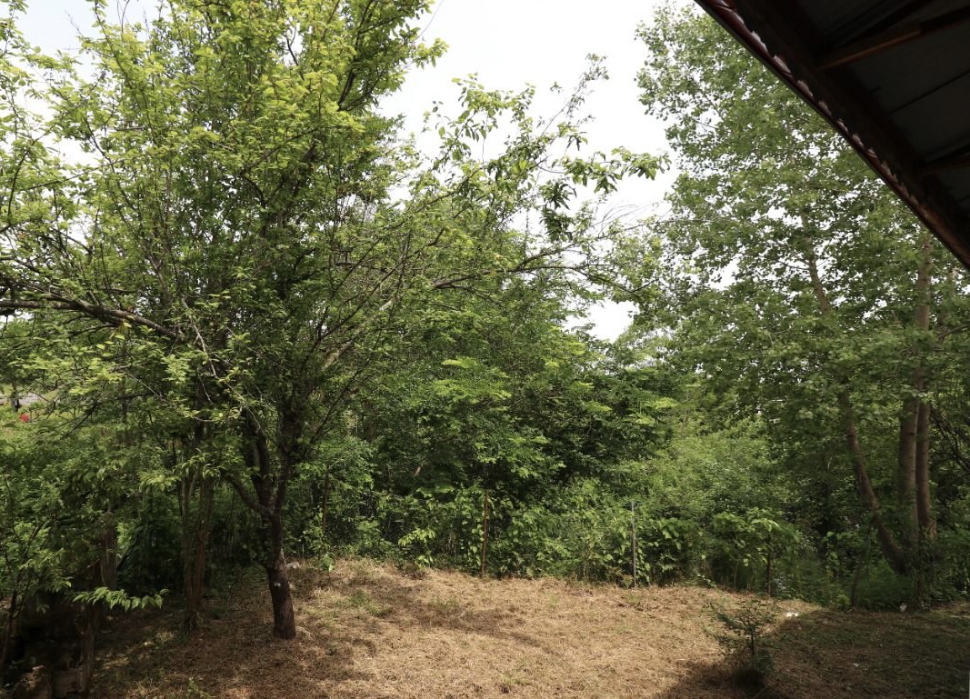 ویلای جنگلی لب رودخونه گیسوم