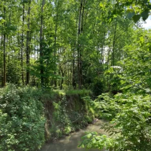 کلبه جنگلی لب رودخونه با آتشدان