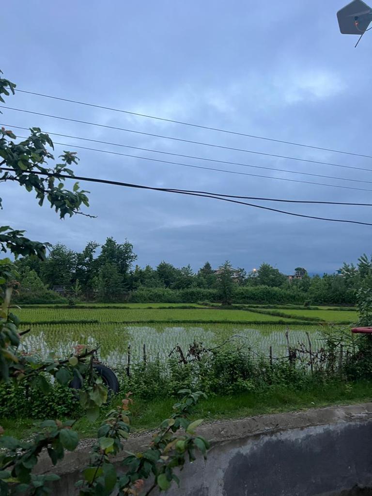 کلبه سوئیسی روستایی در اطراف گیسوم