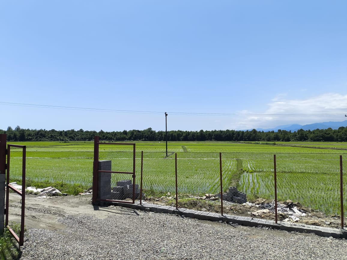 کلبه سوئیسی استخردار گیسوم