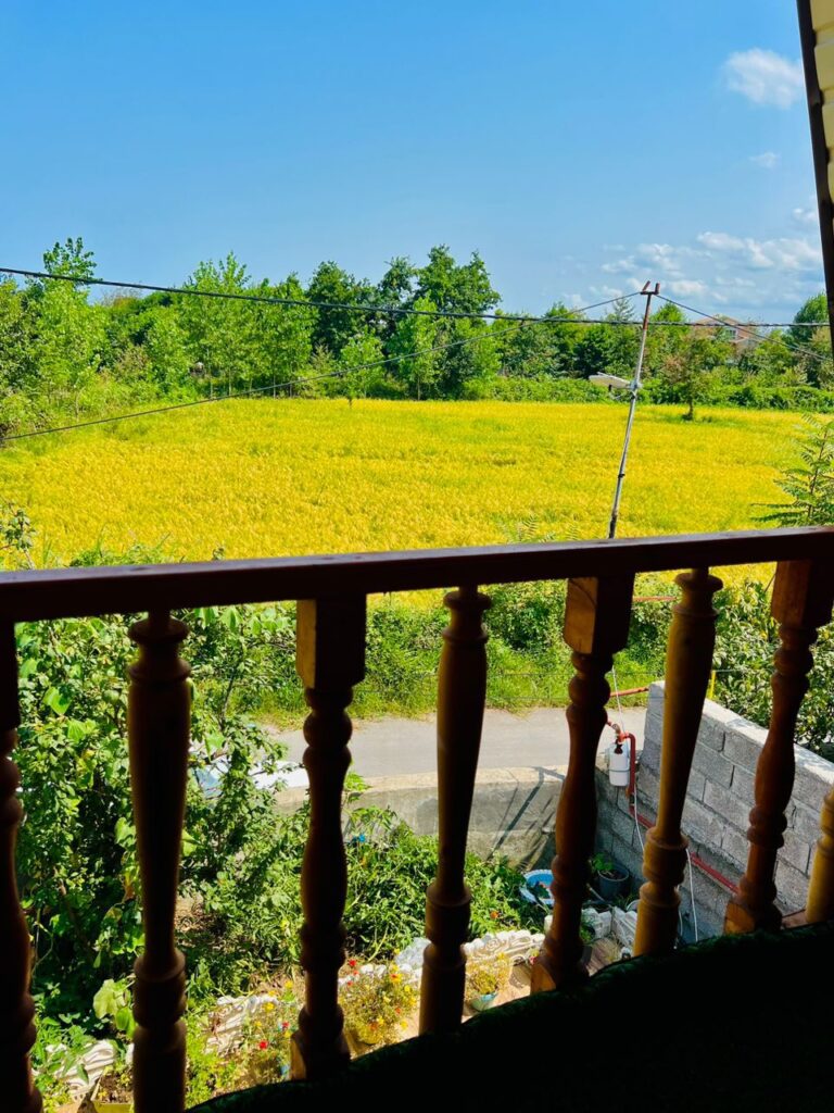 کلبه سوئیسی روستایی در اطراف گیسوم