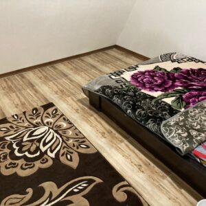 کلبه سوئیسی استخردار با منظره جنگل