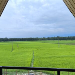 کلبه سوئیسی استخردار گیسوم