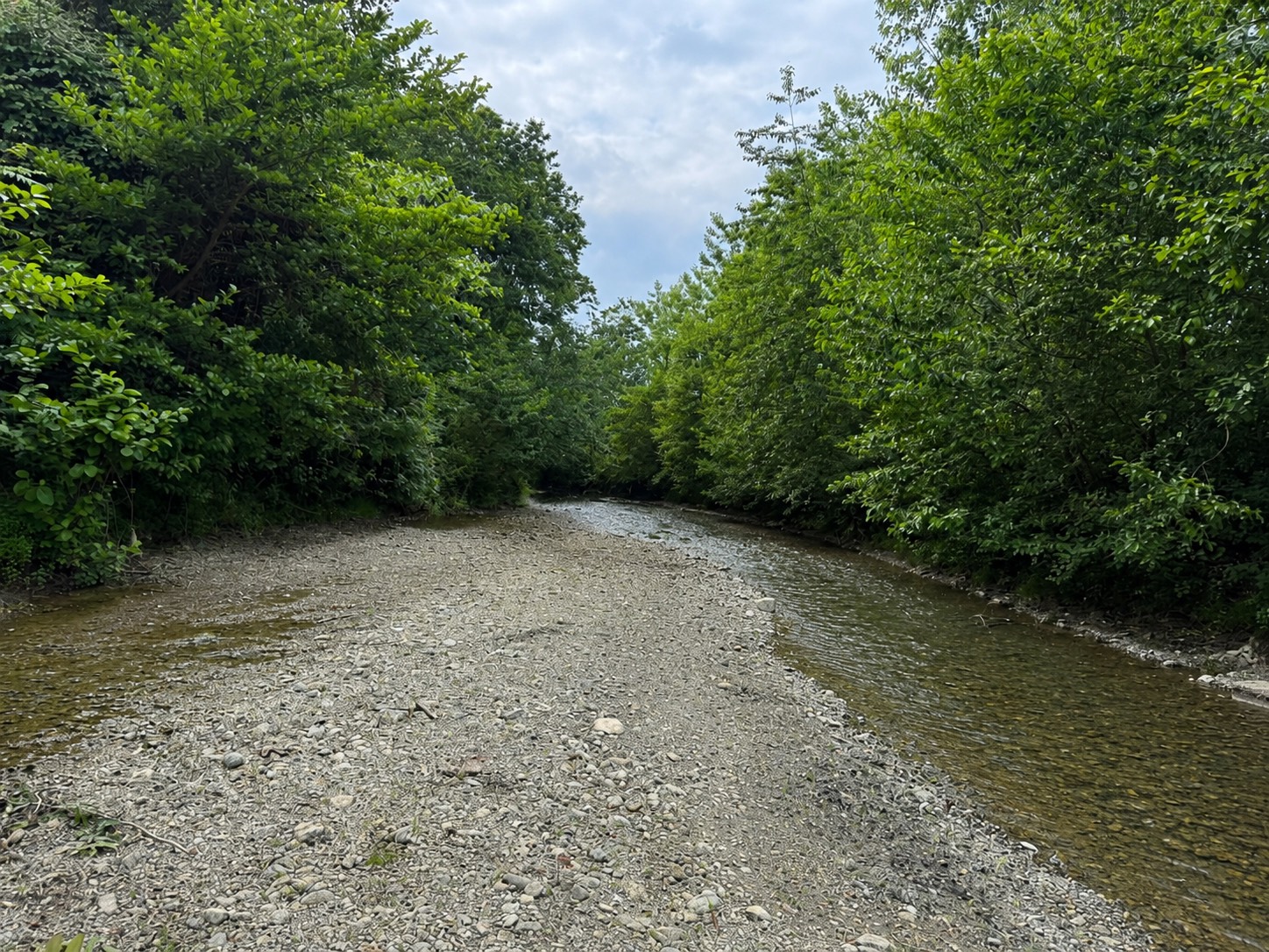 کلبه دنج نزدیک رودخونه و جنگل گیسوم