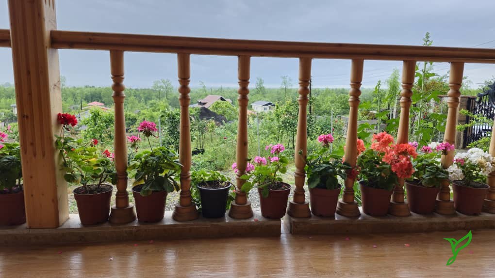 ویلا چوبی جنگلی نزدیک گیسوم